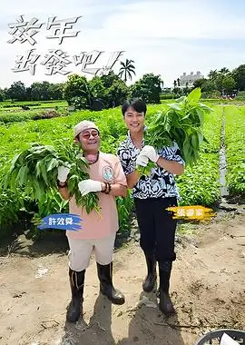 短剧工业化生产 竖屏叙事节奏研究